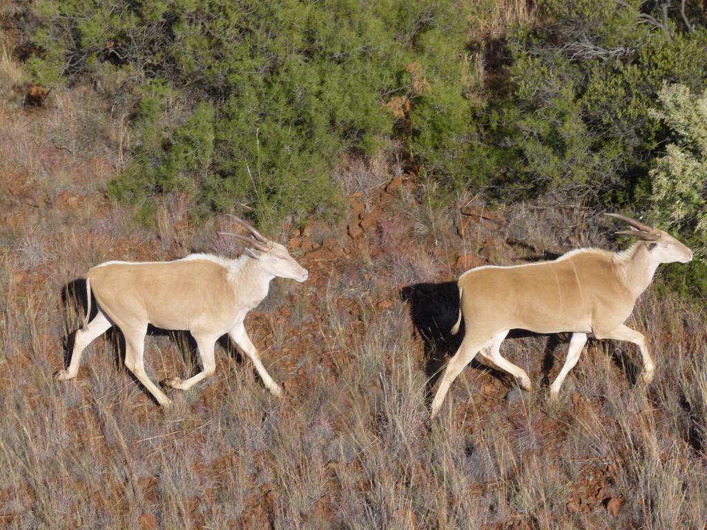 Red Sands Country Lodge Kuruman Exteriér fotografie